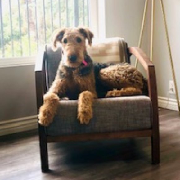 Meet your Posher, Jordan - Picture 4 of 5